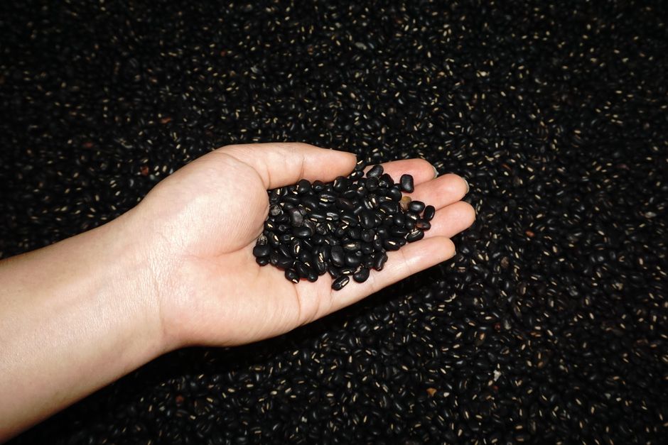 Frijol negro - Chiles Secos Andrade